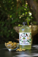 Load image into Gallery viewer, * Chrysanthemum Jun-Kombucha