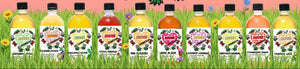 Two ways to Kombucha